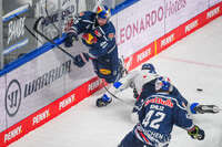 09.10.2026, München, Deutschland. PENNY DEL, Deutsche Eishockey Liga, Saison 2026/27, 7. Spieltag: EHC Red Bull München gegen ERC Ingolstadt im SAP Garden in München. Lucas Thaler (EHC Red Bull München) im Zweikampf, im Duell, im Kampf um den Puck