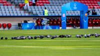 Allianz Arena, München, Deutschland – 25.04.2026: Fußball, UEFA Women’s Champions League 2025/2026, Halbfinale Hinspiel, FC Bayern München Frauen vs. FC Barcelona Frauen: Vögel auf dem Platz vor Spielbeginn.